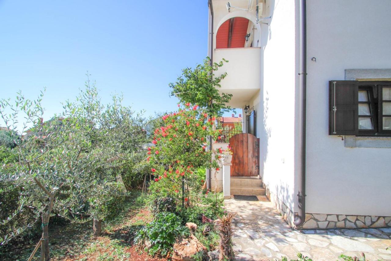 Santo Daire Novigrad Istria Dış mekan fotoğraf